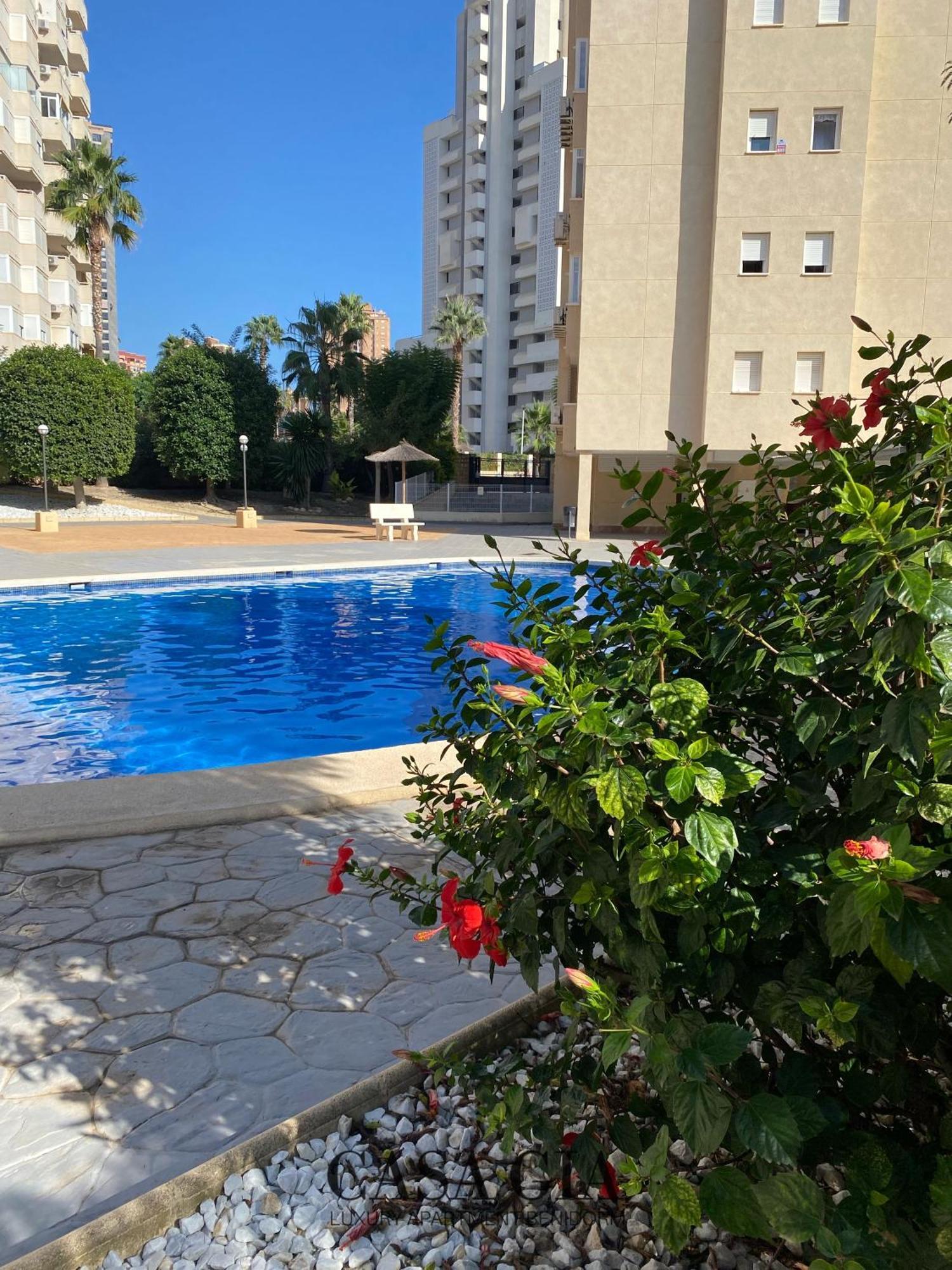 Casa Gia L Luxury Apartment Μπένιντορμ Εξωτερικό φωτογραφία
